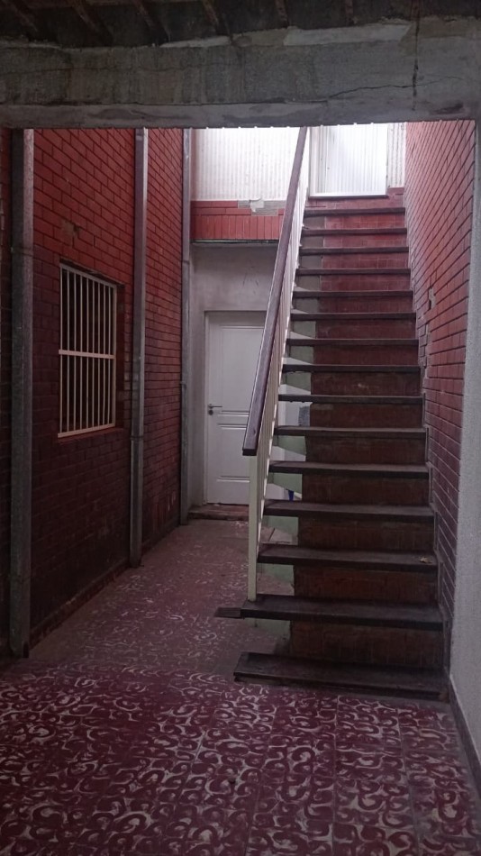 SAN LUIS AL 100