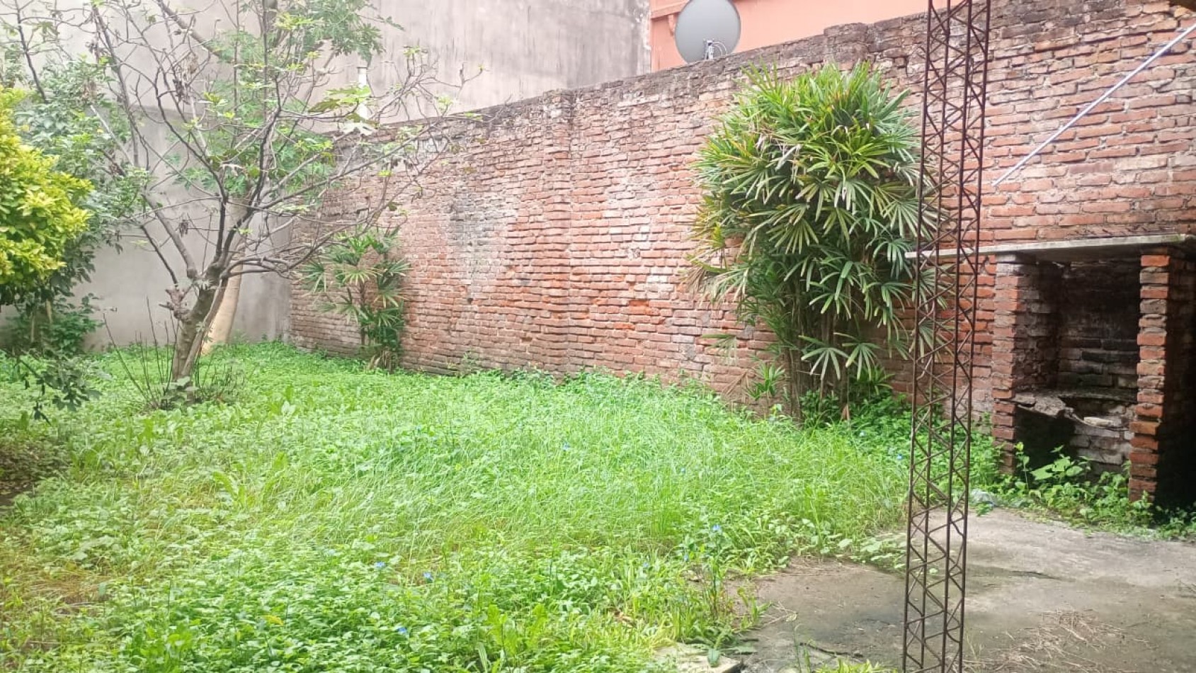 SAN LUIS AL 100