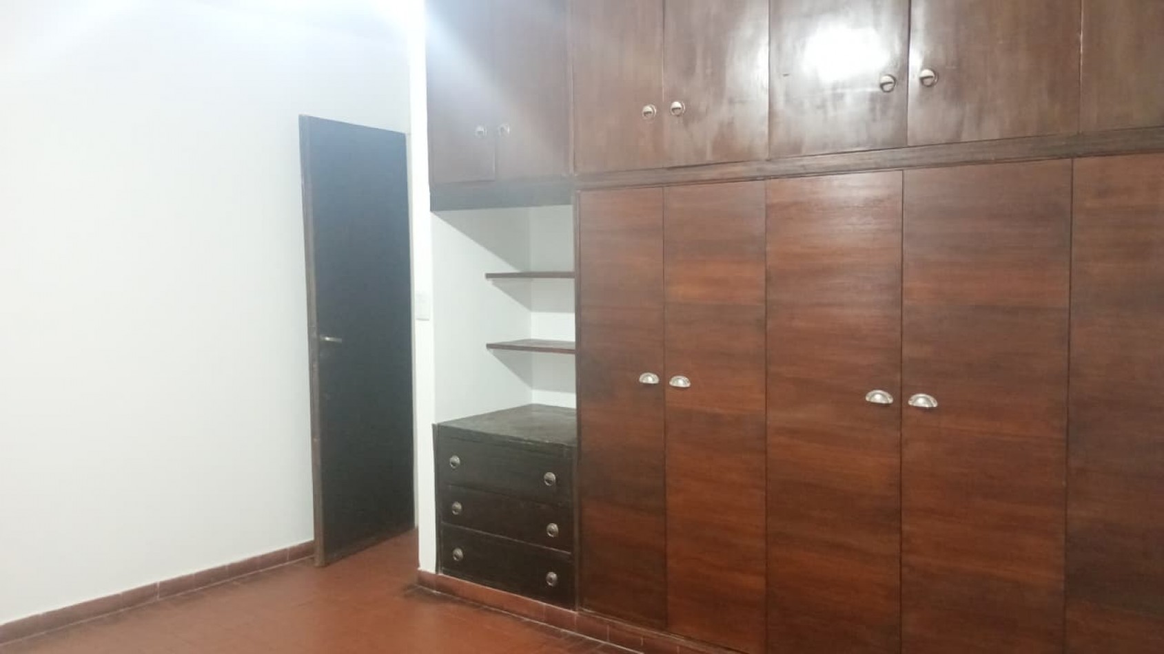 SAN LUIS AL 100